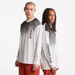 Timberland Graphic Albi | SN-TBL46479